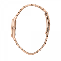 Montre Lucien Rochat Femme in Acier R0453120503 - R0453120503